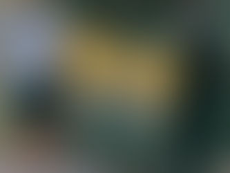 RECAP TRAIL RUN WITH GYMHAUS 🏃♂️