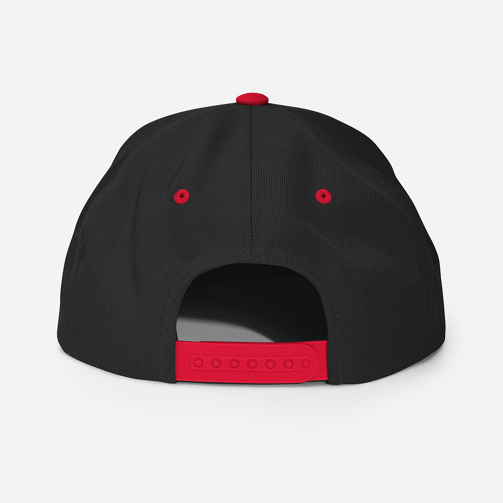 Thumbnail: Asylum Jiu Jitsu Snapback Hat