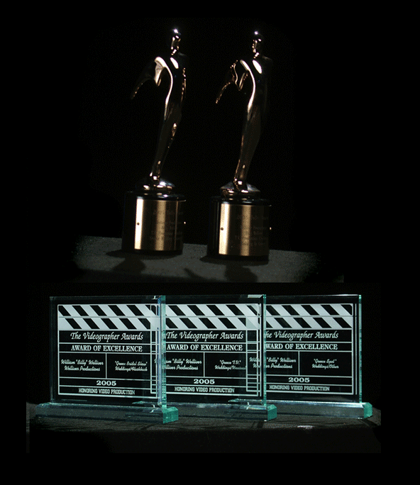 Telly Awards, Videograper, Awards