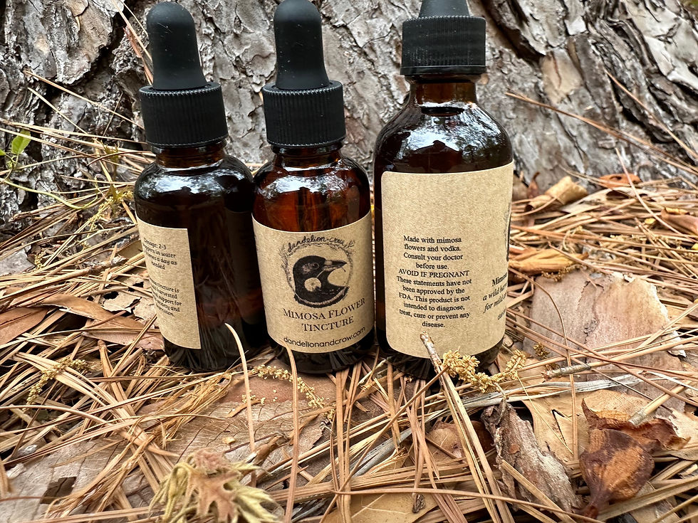 Thumbnail: Mimosa Flower Tincture