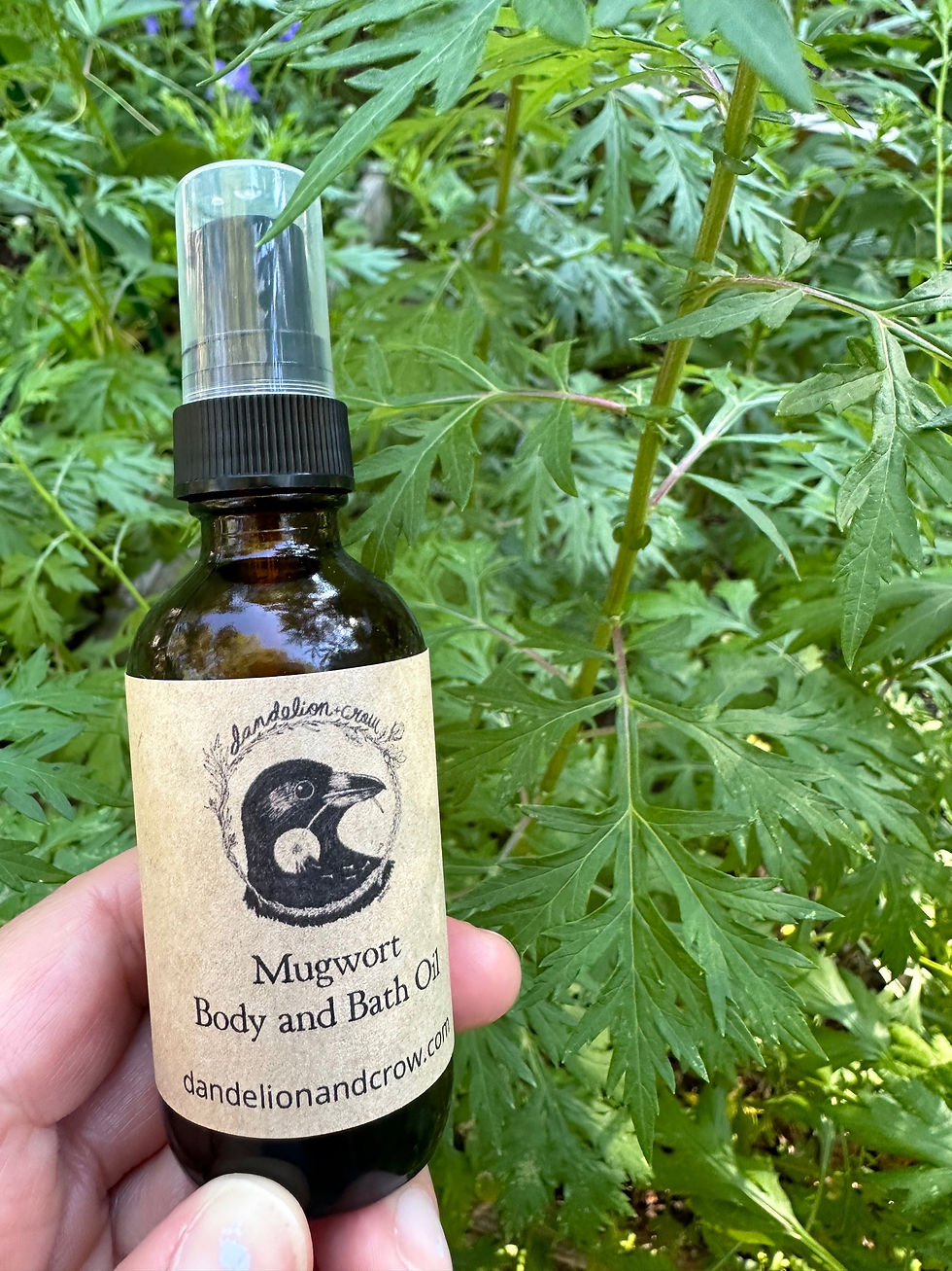 Thumbnail: Mugwort Bath and Body Oil