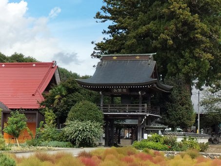 『四本の歩跡』第一章四節「永別の系譜」