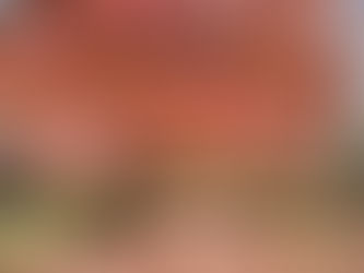 『種痘の扉』第一章四節