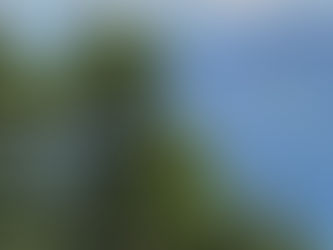 『将軍家重の深謀－意次伝』第一章八節