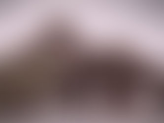 『四本の歩跡』第二章第十五節「沖つ潮風」