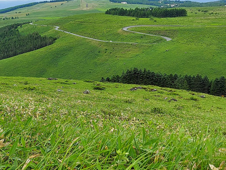 『将軍家重の深謀－意次伝』第三章三節
