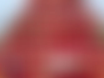 『種痘の扉』第二章十節