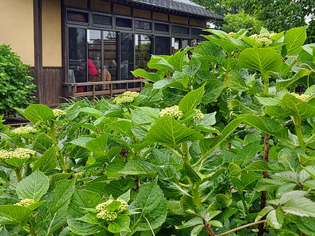 『種痘の扉』第二章六節