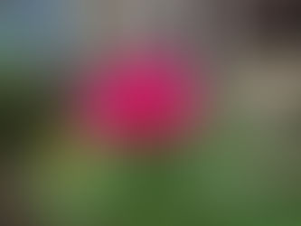 『種痘の扉』第三章六節