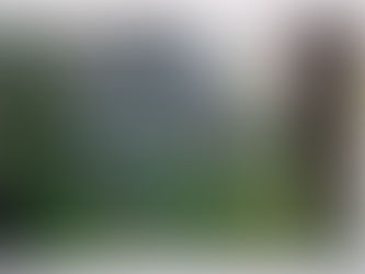 『四本の歩跡』第一章二節「紅葉を散らす」