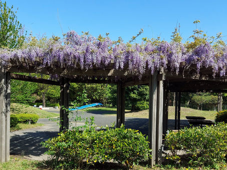 『将軍家重の深謀－意次伝』第三章七節