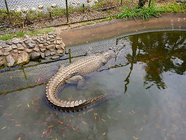 IMG_9849.JPG