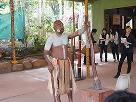 IMG_9810.JPG
