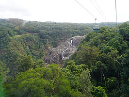 IMG_9940.JPG