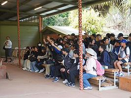 IMG_9910.JPG