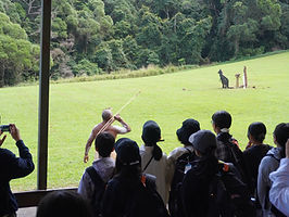 IMG_9848.JPG