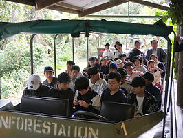 IMG_9881.jpg
