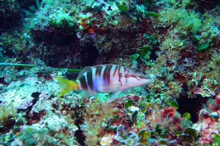 DSC03598