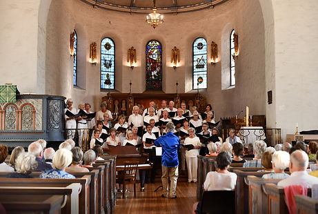 VAD - KONSERT i RIS KIRKE 2018.06.04.jpeg