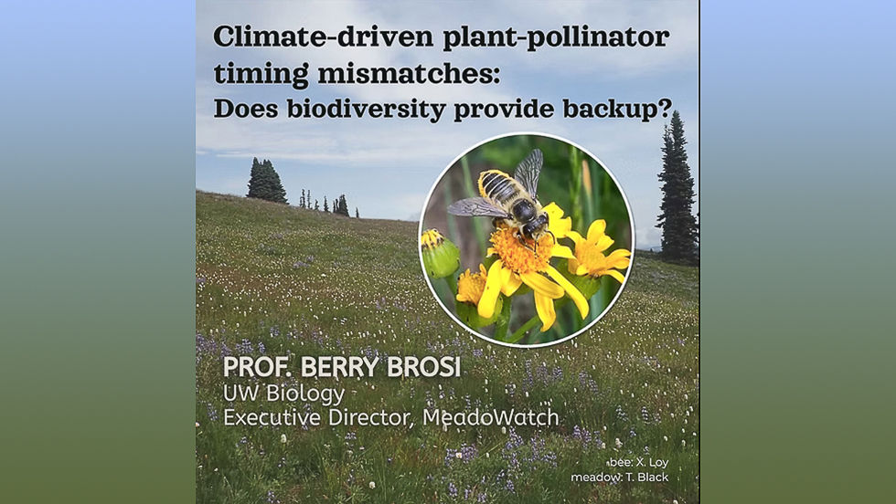 Climate-driven plant-pollinator timing mismatches: does biodiversity provide backup?