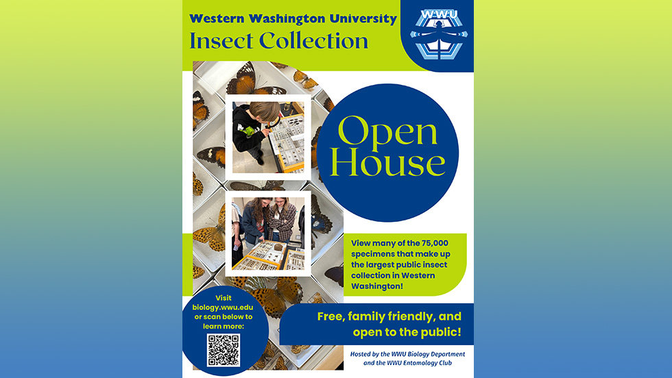 Wsu Insect Collection WWU Insect Collection Open House | Washington Native Bee Society
