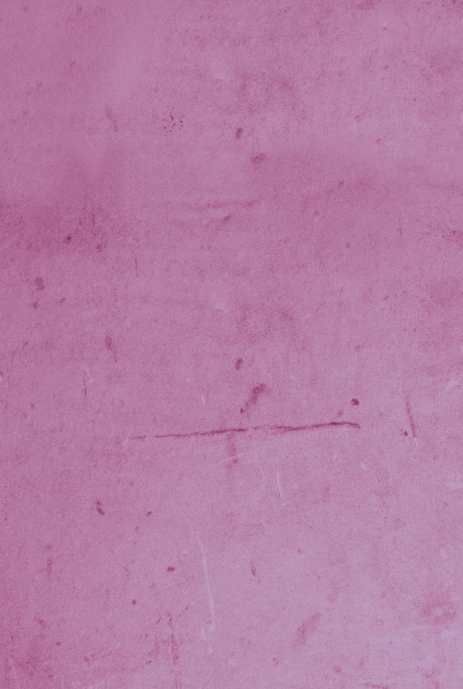 fond site_edited_edited_edited_edited.jpg