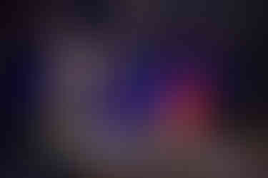 2017 Into The Woods - 2 of 20