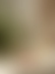 Texas-Based Plant-Based Wellness Brands to Know