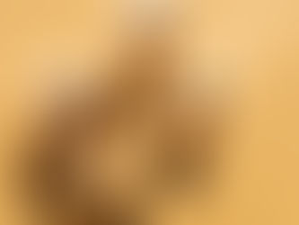 Custom vs Private Label Perfume: Which Is Better for Your Brand?