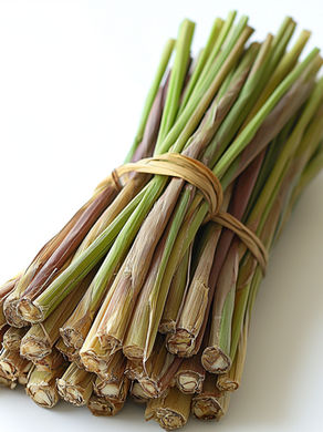 lemongrass herb