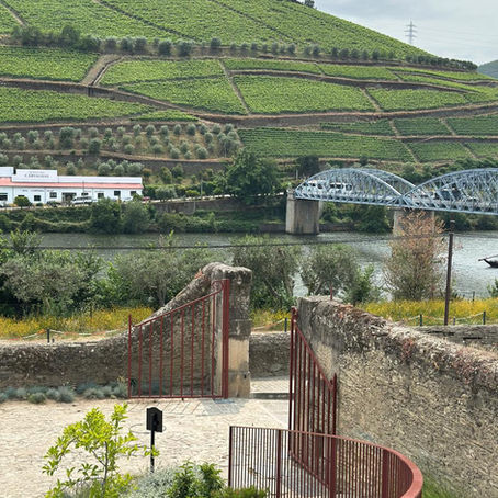 Quinta do Bomfim: passeio imperdível no Douro com degustação de vinhos e almoço gourmet em vinícola histórica de Portugal