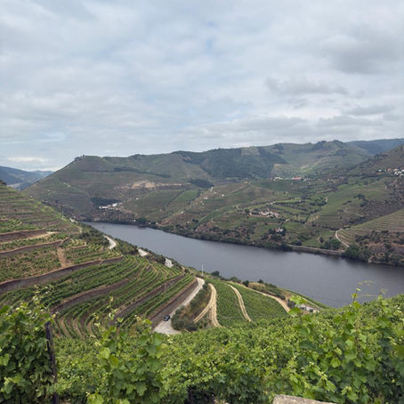 Sabores do Douro: Viagem Sem Escalas visita o restaurante Seixo by Vasco Coelho Santos