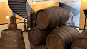 Museu do Douro: a visita imperdível para entender a história do vinho