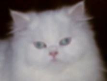 20151024_152216dande (1).png