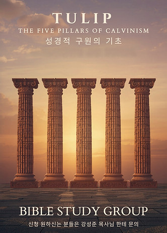 2026 05 TULIP 성경공부.jpg