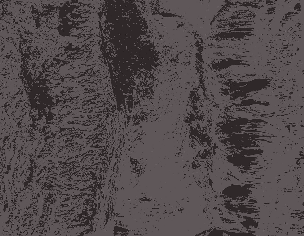 cave texture 2.png