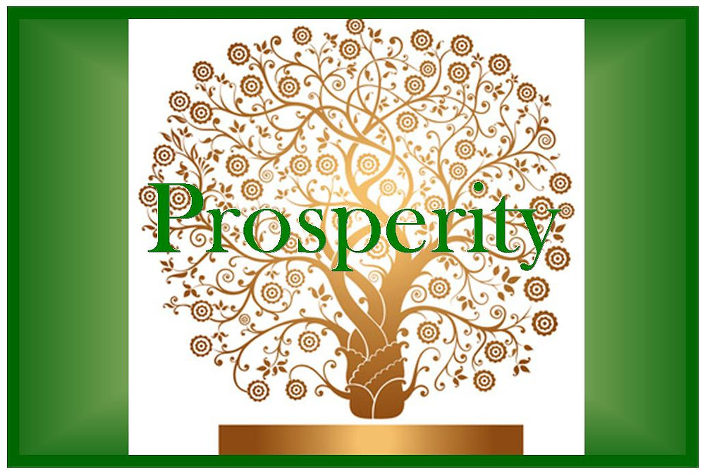 What is the difference between being wealthy and being prosperous?