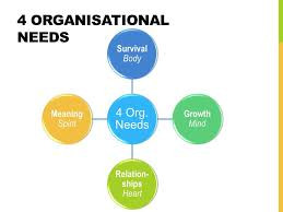 Balance: The Foundation of a Healthy Organization