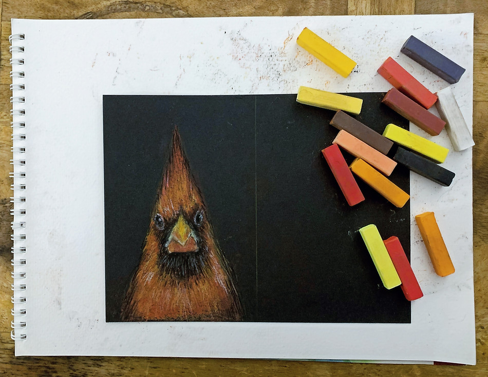 soft-pastel-red-cardinal