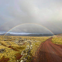 IMG-20250316-WA0265.jpg
