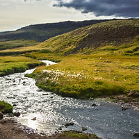 Untitled design (31).png