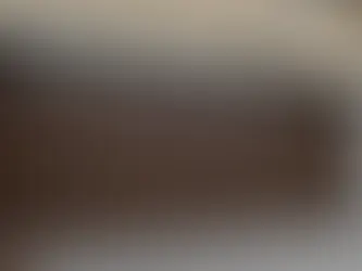 Why Grizzly Garage Door Repair is the Premier Choice for Professional Torsion and Extension Spring Replacement in Manchester NH