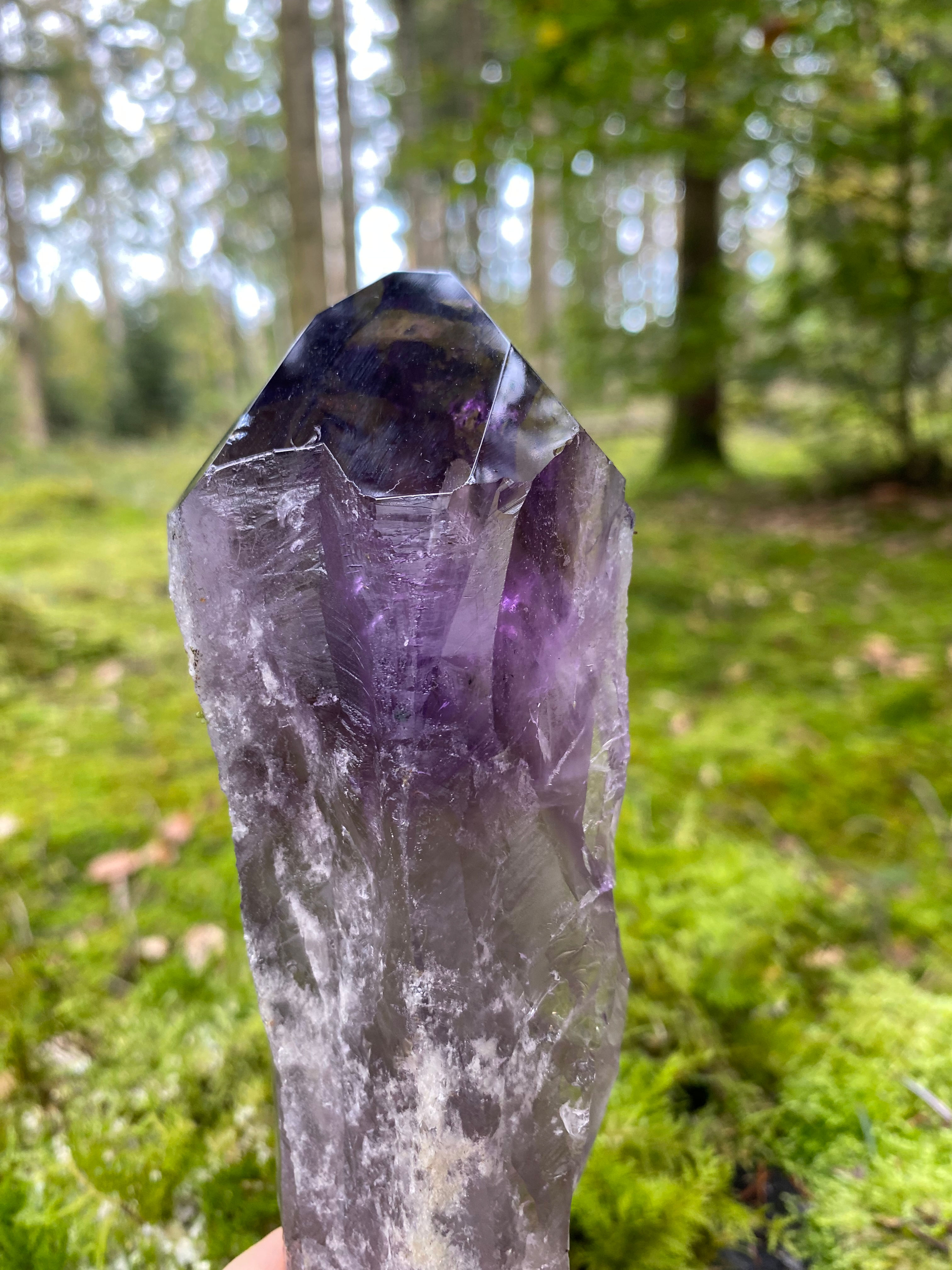 Amethyst Zepter – 21 cm Rohstein Edelstein Druzy Naturstein