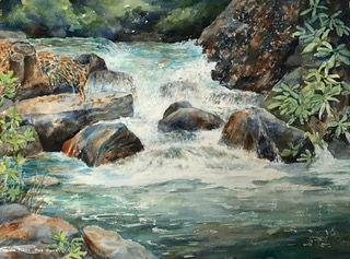 Water and Rhododendrons