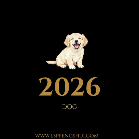 Dog in 2026