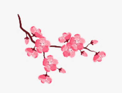 Peach Blossom