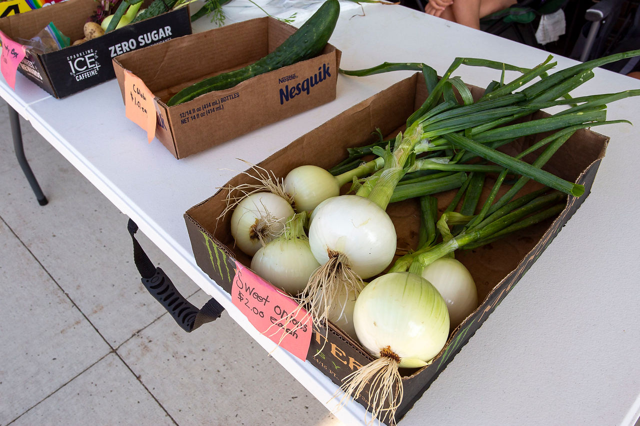 Kenny Steele produce