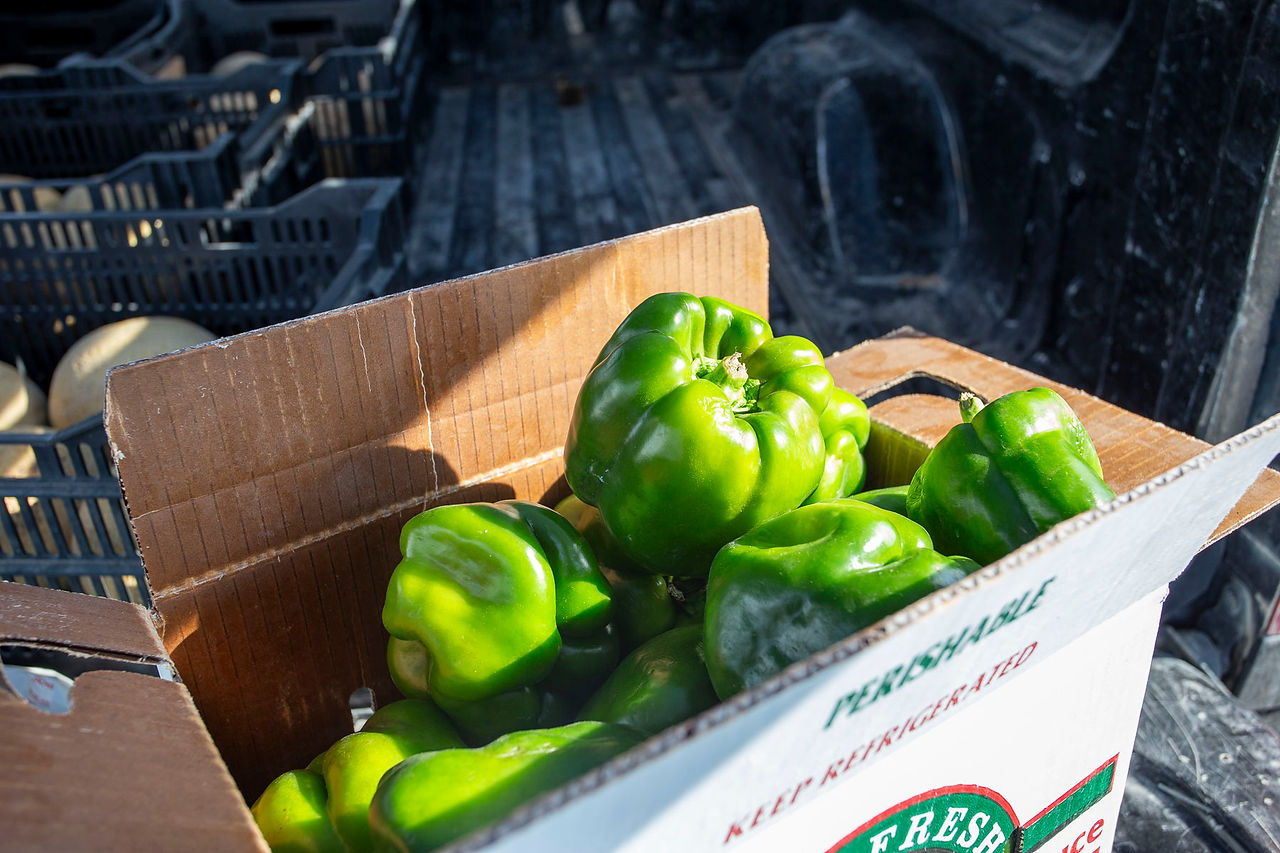 green peppers