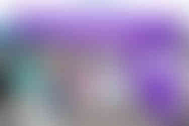 Stockdale Lavender booth
