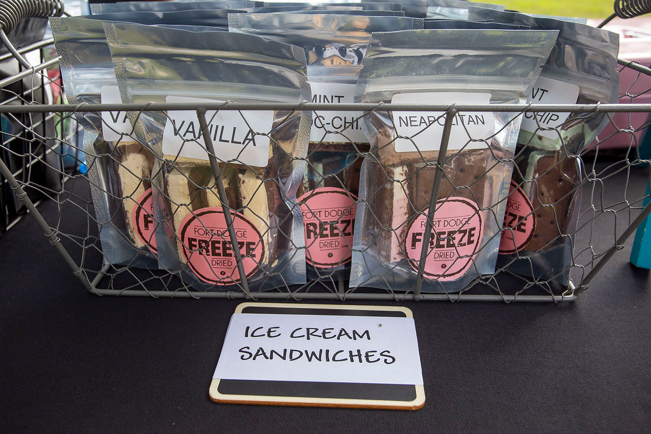 fort dodge freeze dried ice cream sandwiches
